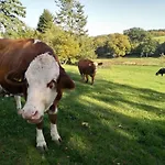 Hébergement de vacances Soonzauber - Exklusives Paar-hideaway Im Naturpark Soonwald-nahe *