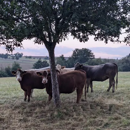 Landhaus Soonzauber - Ruhe, Natur Und Geborgenheit Σπίτι διακοπών Munchwald