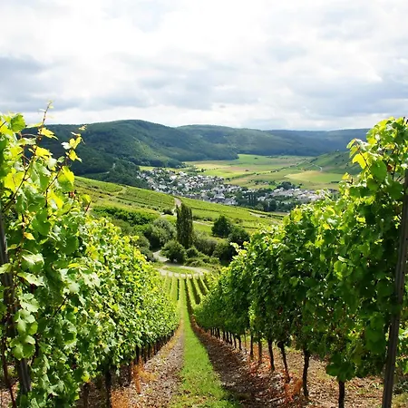 Landhaus Soonzauber - Ruhe, Natur Und Geborgenheit * Munchwald
