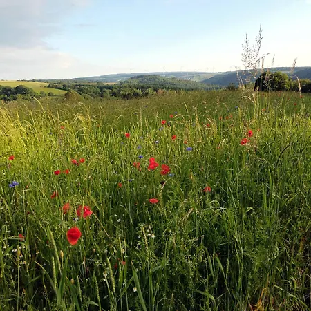 Landhaus Soonzauber - Ruhe, Natur Und Geborgenheit Semesterbostad