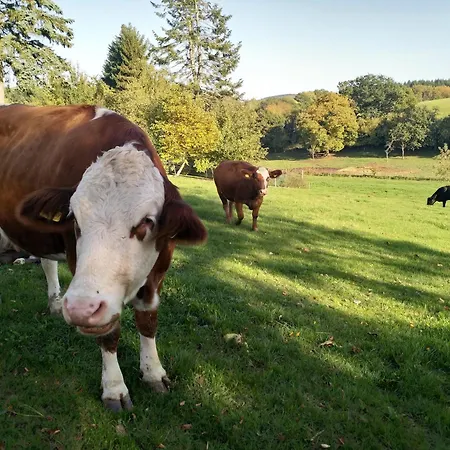 בית נופש Landhaus Soonzauber - Ruhe, Komfort, Urlaub