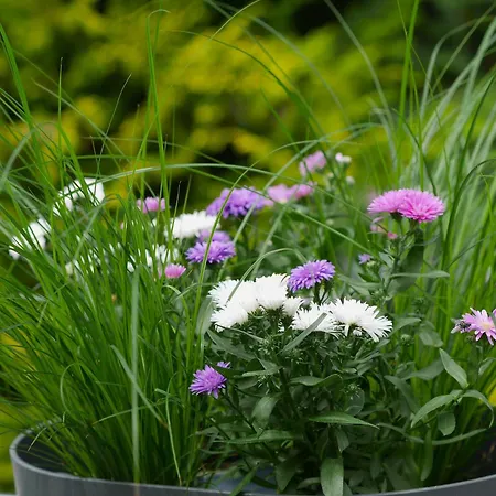 Landhaus Soonzauber - Exklusives Paar-Hideaway Im Naturpark Soonwald-Nahe Дом отдыха Munchwald