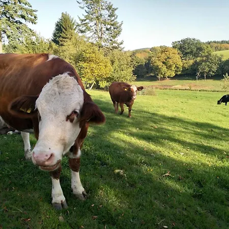 Prázdninový dům Soonzauber - Exklusives Paar-hideaway Im Naturpark Soonwald-nahe *
