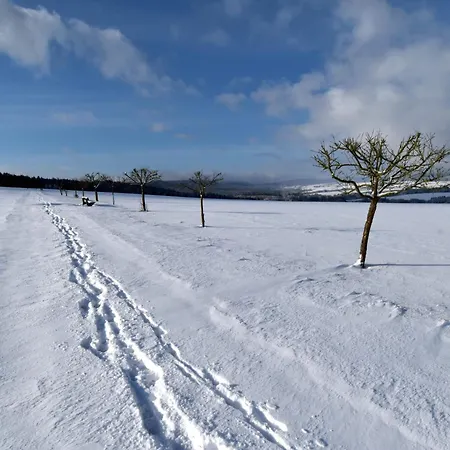 Prázdninový dům Soonzauber - Exklusives Paar-hideaway Im Naturpark Soonwald-nahe Munchwald