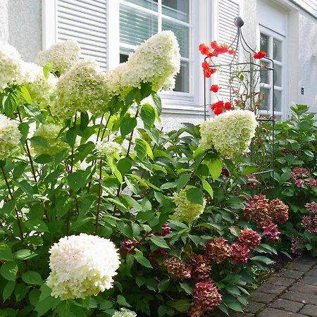 Ferienhaus Soonzauber - Ruhe, Komfort, Urlaub Munchwald