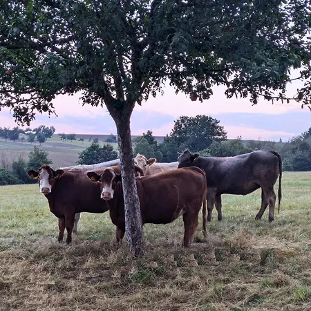Ferienhaus Soonzauber - Ruhe, Komfort, Urlaub