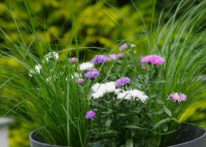 Landhaus Soonzauber - Exklusives Paar-Hideaway Im Naturpark Soonwald-Nahe Дом отдыха Munchwald