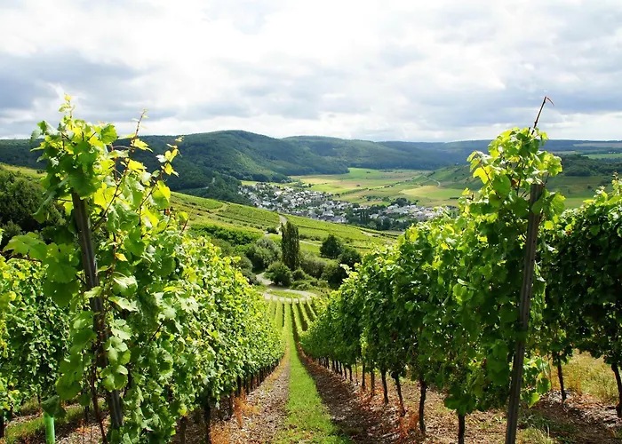 Дом отдыха Landhaus Soonzauber - Exklusives Paar-Hideaway Im Naturpark Soonwald-Nahe