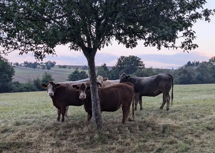 Дом отдыха Landhaus Soonzauber - Exklusives Paar-Hideaway Im Naturpark Soonwald-Nahe