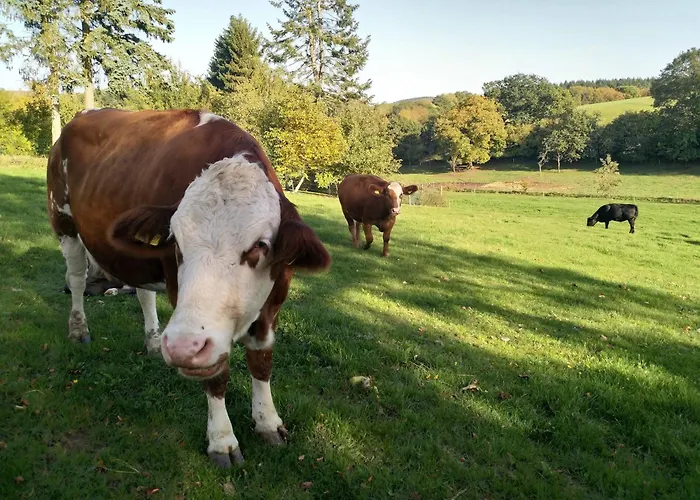 Дом отдыха Landhaus Soonzauber - Exklusives Paar-Hideaway Im Naturpark Soonwald-Nahe *
