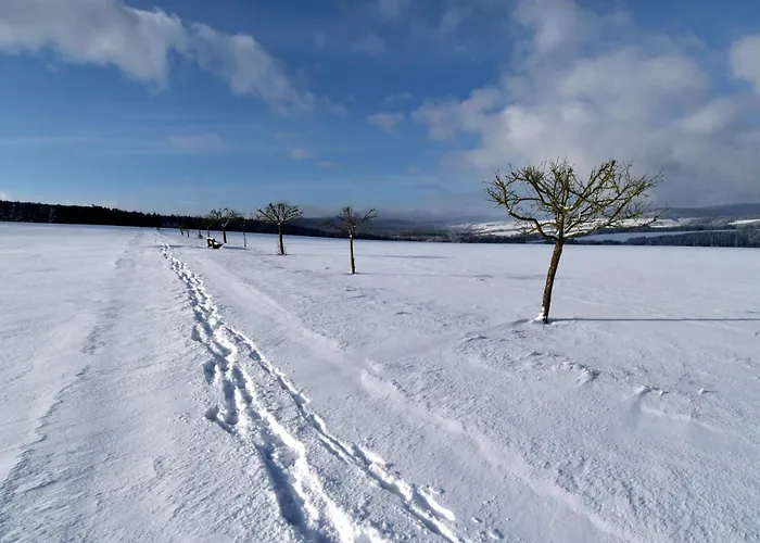 Дом отдыха Landhaus Soonzauber - Exklusives Paar-Hideaway Im Naturpark Soonwald-Nahe Munchwald