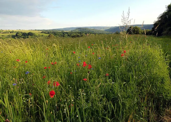 Landhaus Soonzauber - Exklusives Paar-Hideaway Im Naturpark Soonwald-Nahe Дом отдыха *